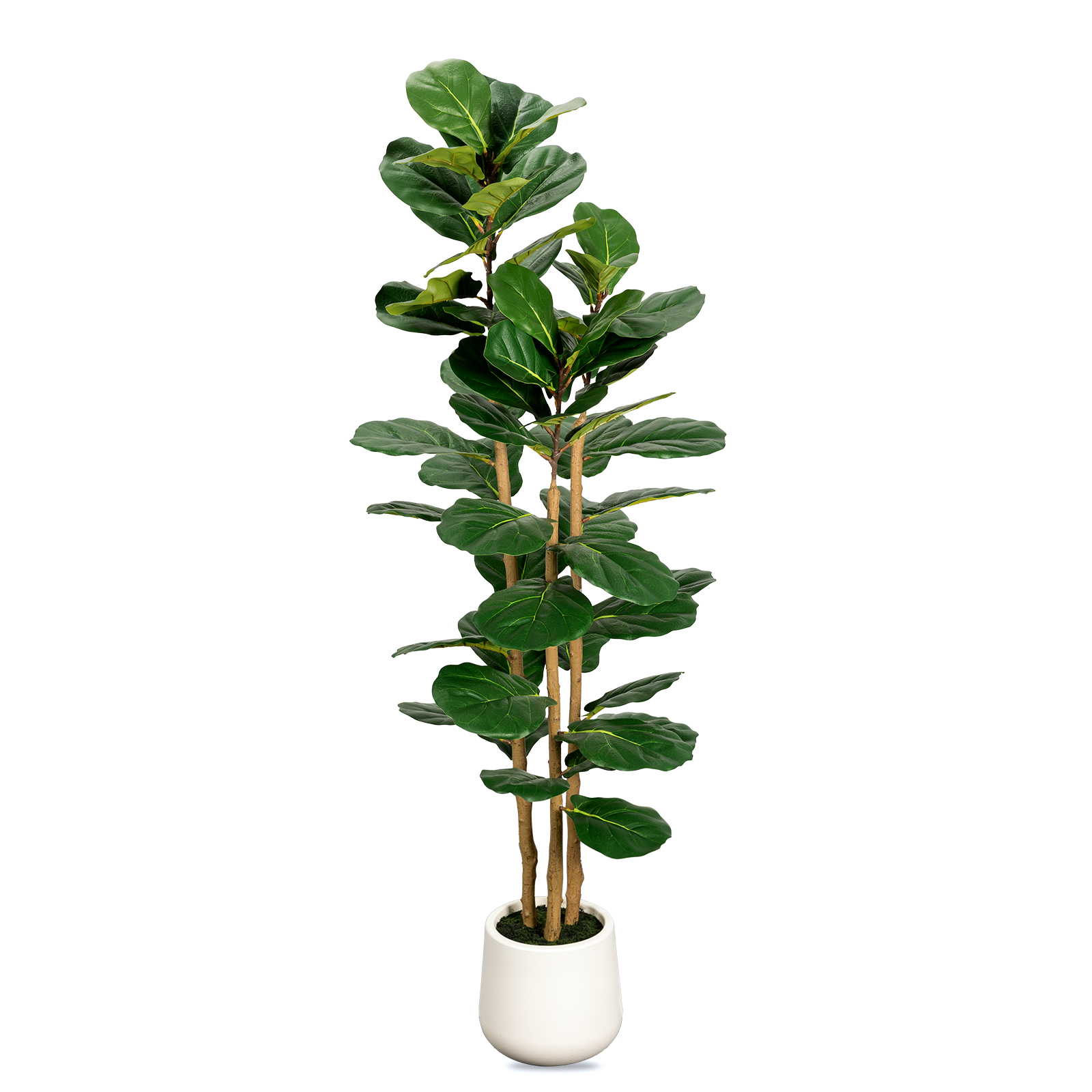 LuceAlberi 5FT artificial fiddle leaf fig tree in a white pot